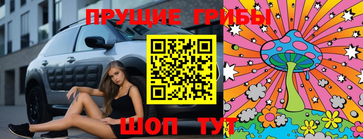 Псилоцибиновые грибы Psilocybe Балаково