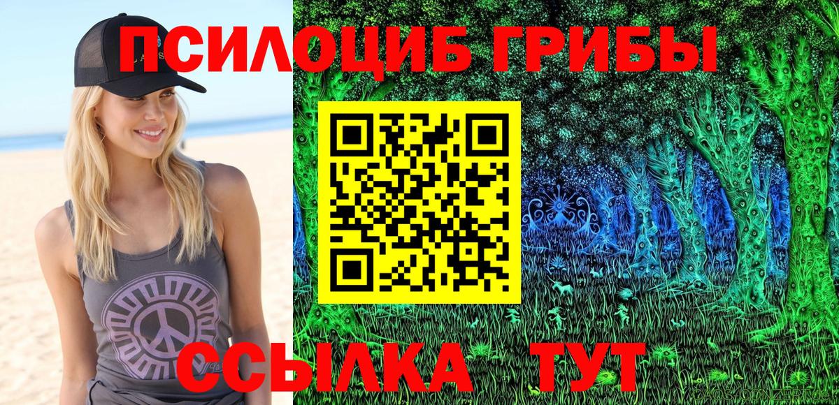 Галлюциногенные грибы Psilocybe  купить   Балаково  Вход с VPN 